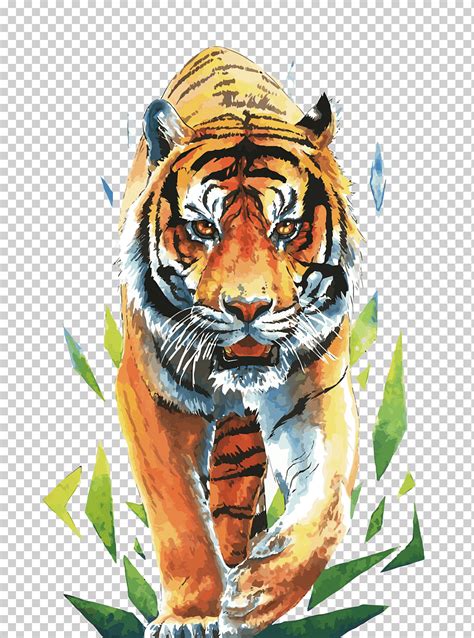 Descarga Gratis Pintura De Tigre Dibujo De Tigre Siberiano Tigres