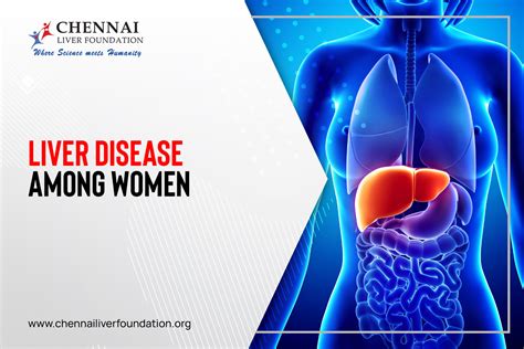 Liver Disease Among Women Chennai Liver Foundation