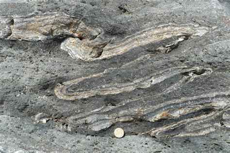 Recumbent Isoclinal Folds In Chlorite Schist Geology Pics