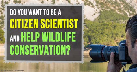 Citizen Scientist Taking Part With Wildlife Conservation