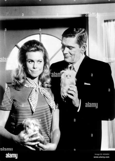 Bewitched From Left Elizabeth Montgomery Dick York 1964 72 Stock