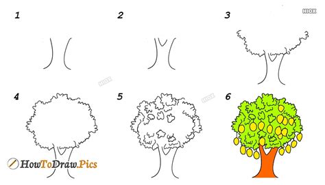 How to draw 3d mango tree step by step very easy drawing.this tutorial is very easy for kids.click subscribe to watching more videos, don't forget to. How To Draw A Mango Tree Step By Step