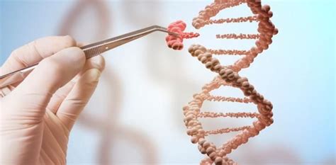 Terapia génica nueva esperanza de tratamiento para pacientes con enfermedades raras Periódico