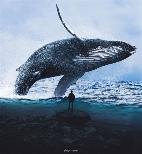 Blue Whale Art Hd Phone Wallpaper Pxfuel