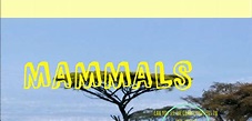 Mammals presentation « Blog de Almu