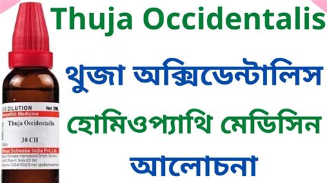 থজ Thuja Q 30 200 Thuja Occidentalis Homeopathic Medicine Uses