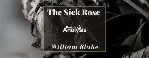 The Sick Rose By William Blake Poem Analysis