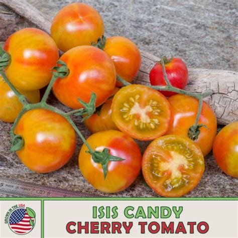 10 Isis Candy Cherry Tomato Seeds Open Pollinated Non Gmo Genuine