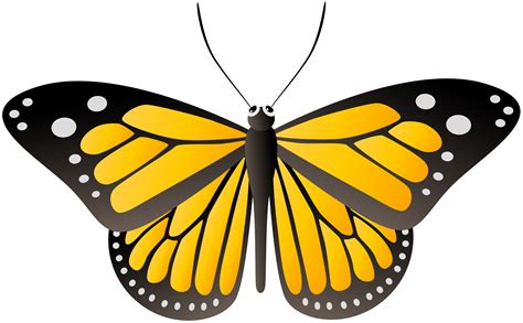 Butterfly Transparent Png Clip Art Image Gallery Yopr