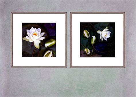 Waterlily Art Print Set Of 2 Flower Photography Modern Minimalist