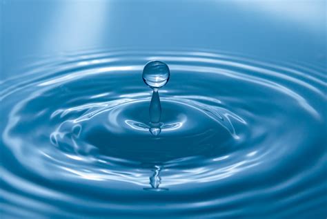Free Images Wave Petal Reflection Blue Close Drip Drop Of Water