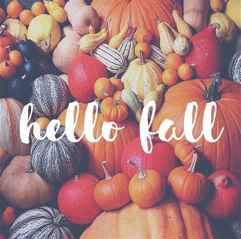 Happy Fall Everyone With Images Some Inspirational Quotes Happy