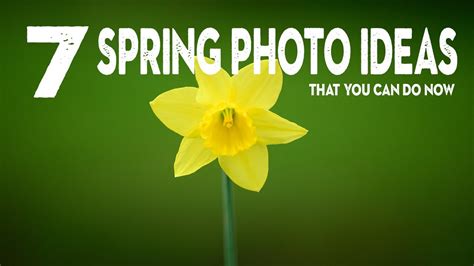 7 Photo Ideas To Improve Your Spring Photography Youtube