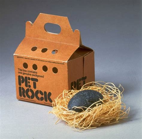 Product Shot Of Pet Rock Fad From Mid 1 Beaf
