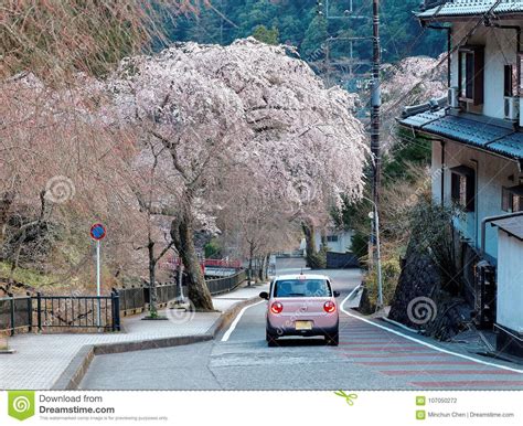 A Pink Car Driving On A Curvy Country Road Under A Flourishing Cherry