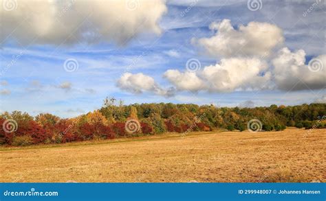 Beautiful Autumn Landscape With Trees And Cloudscape Stock Image