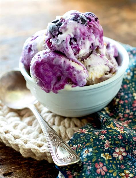 Homemade Ice Cream Recipes Treats The Entire Family Will Love
