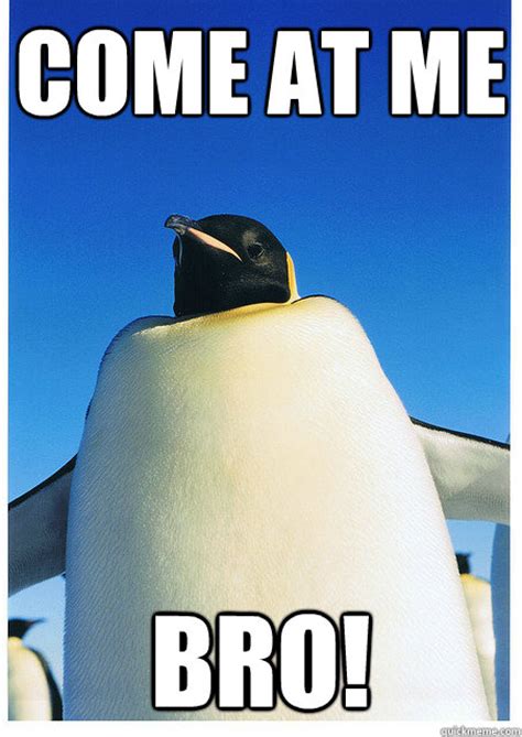 Angry Fat Bird Memes Quickmeme