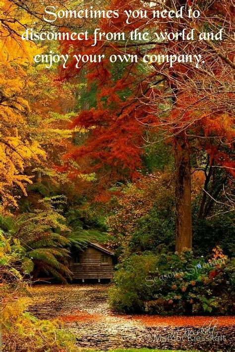 Pin By Mari Richardson On Good Advice Autumn Scenery Autumn Quotes