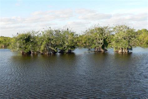 Everglades National Park Miami Attractions Review