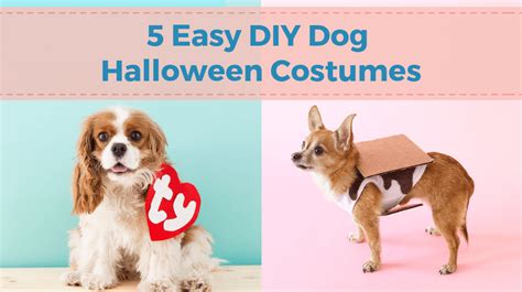 5 Easy Diy Dog Halloween Costumes Charleston Dog Walker