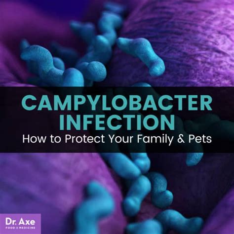 Campylobacter Causes And Symptoms What To Do Dr Axe