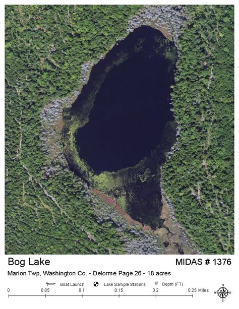 Lake Overview Bog Lake Marion Twp Washington Maine Lakes Of Maine