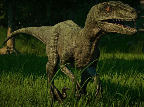 Velociraptor Picture Information National Geographic