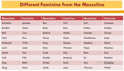 The Noun In English Grammar An Excellent Approach Of Learning