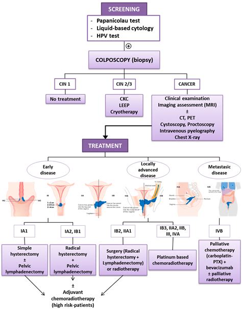 pathophysiology of cervical cancer