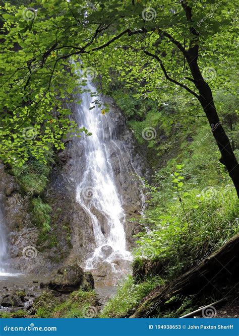 Waterfall Misty In Woodland Setting Stock Image Image Of Spray