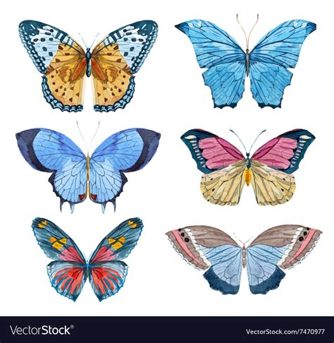 Watercolor Butterflies Royalty Free Vector Image