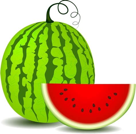 Download 23,207 cartoon watermelon stock illustrations, vectors & clipart for free or amazingly low rates! Watermelon free vector download (133 Free vector) for ...