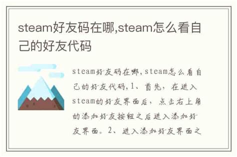 steam好友码在哪 steam怎么看自己的好友代码 兔宝宝游戏网