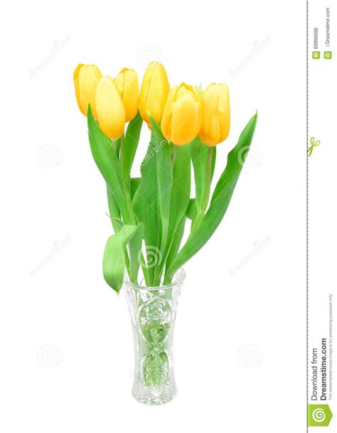 Yellow Tulips In A Glass Vase Isolated On White Background