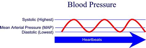 Blood pressure is the pressure of the blood within the arteries. 5.2 What are systolic and diastolic pressures? | Taking ...