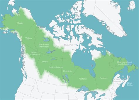 North Americas Boreal Forest Boreal Songbird Initiative