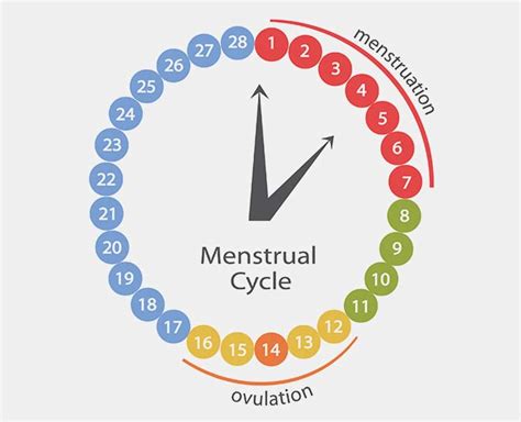 Know All About Period And Its Causes Know All About Period And Its