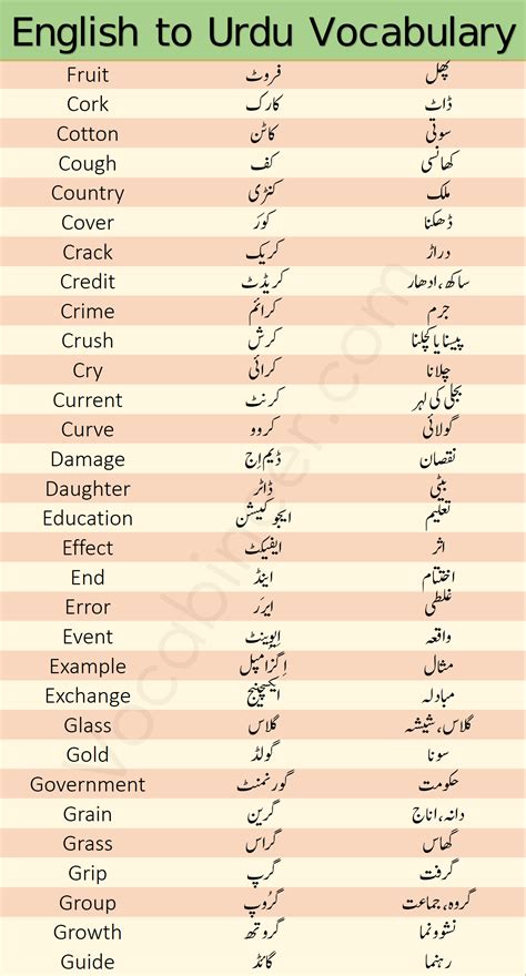 Basic English Vocabulary Words With Urdu Meanings Download Pdf Book