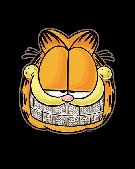 Garfield Nice Grill Digital Art By Naomi Carter