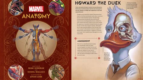 Marvel Anatomy Book Illustrates The Science Of Superhuman Abilities
