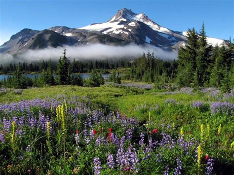 Mount Jefferson Magical Places Natural Landmarks The Great Outdoors
