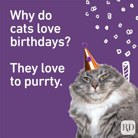 74 Best Birthday Puns For 2022 — Hilarious Happy Birthday Puns