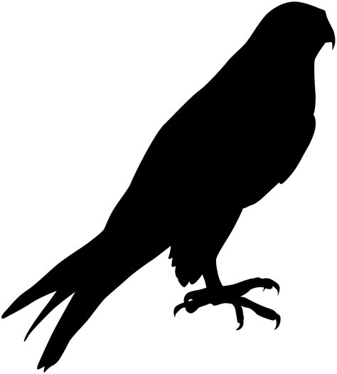 Peregrine Falcon Silhouette Free Vector Silhouettes