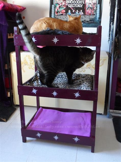 Catster Diy Make Your Own Triple Kitty Bunk Bed Catster
