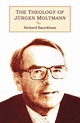 Theology of Jurgen Moltmann (Paperback) - Walmart.com