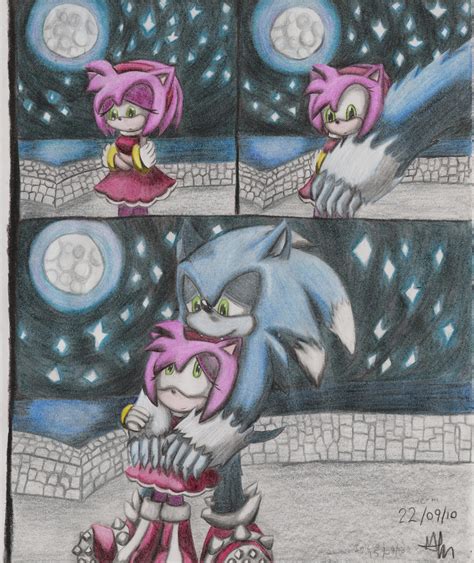 Werehog Sonic And Amy By Pauladrag17 On Deviantart