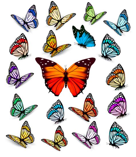 Set Of Colorful Butterflies Vector Material 04 Welovesolo