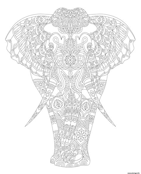 Coloriage Elephant Adulte Animal Zentangle Dessin Adulte Animaux à Imprimer