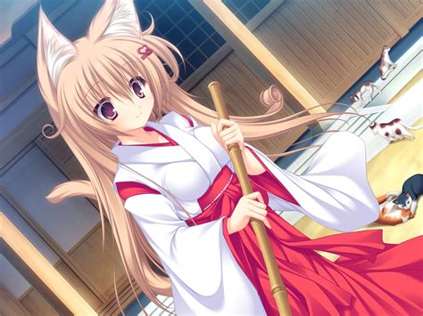 Wallpaper Illustration Anime Tail Artwork Kimono Ryuudou Misaki